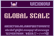 Highest Power font, a Serif Font by weknow (Thumbnail 4 of 8)