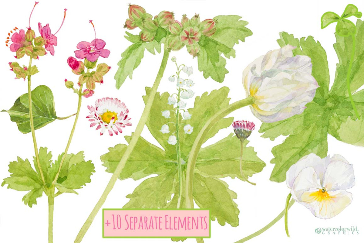 Pink&Pretty-wreaths+elements, an Illustration by watercolorwild.graphics (Photo 8 of 10)