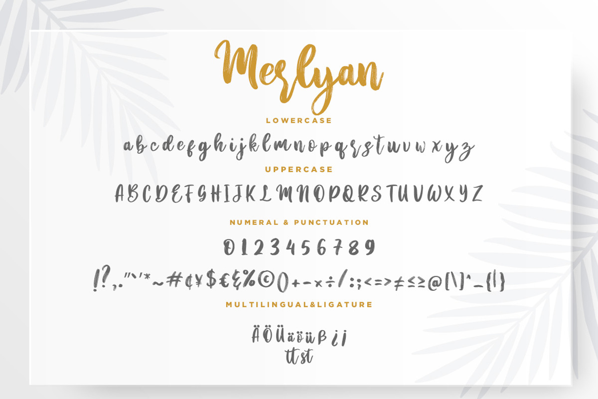 Merlyan Brush Business Font preview 7