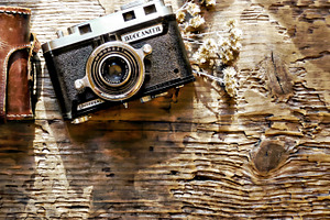Rustic woodland shot featuring rustic, camera, and woodland