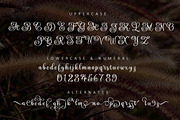 The Mountaine, a Script Font by Matra Creative (Thumbnail 4 of 11)