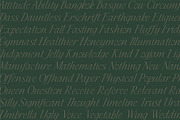 Cedar & Ink Typeface, a Serif Font by aquene (Thumbnail 11 of 16)