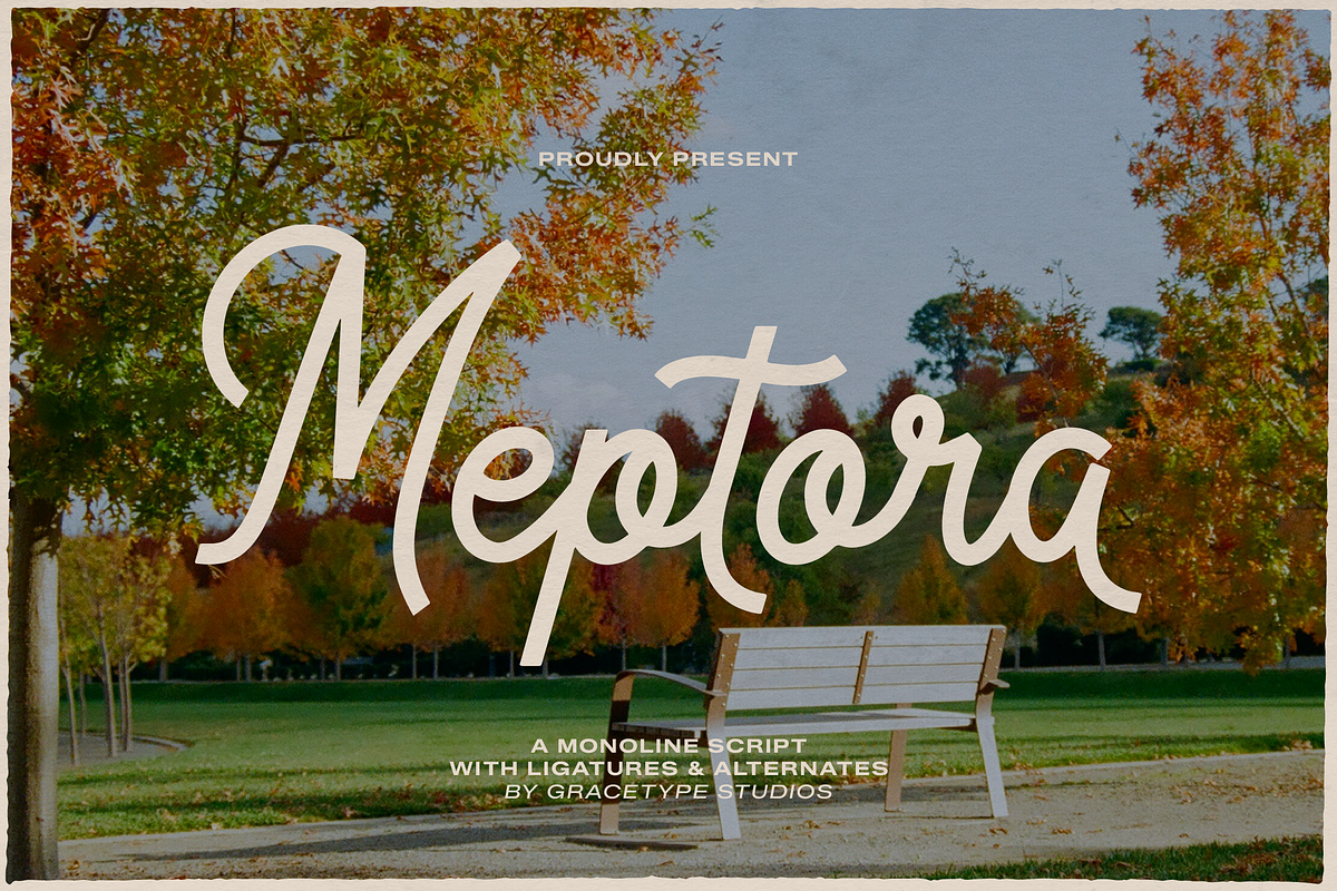 Meptora | Monoline Script, a Script Font by gracetype_studio (Photo 1 of 12)