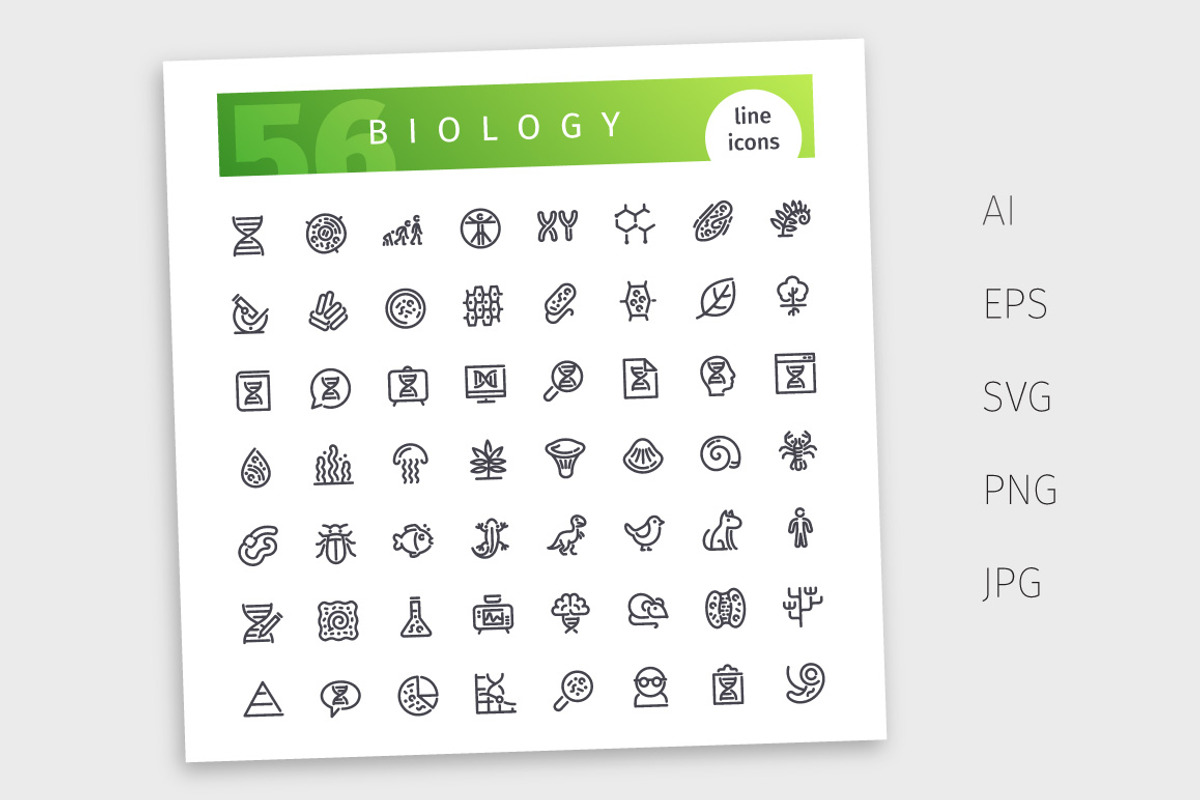 Biology Line Icons Set, an Outline Icon by Voysla's Shop (Photo 4 of 4)