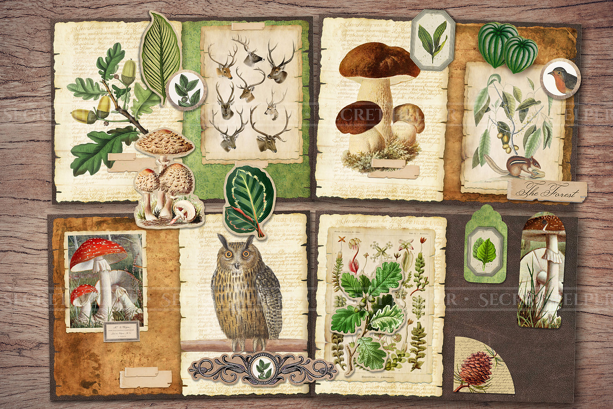 Forest Scrapbooking Kit, an Animal Illustration by Secret Helper (Photo 3 of 9)