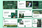 Fylora - Organic Botanic PowerPoint, a Presentation Template by Raseuki (Thumbnail 3 of 6)