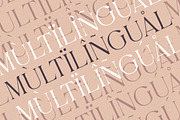 Elaine Dawn - Modern Luxury Serif, a Serif Font by Qweera Studio (Thumbnail 12 of 12)