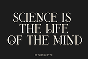 Berang Berang Serif Display Font, a Serif Font by Maryamtype Studio (Thumbnail 9 of 15)