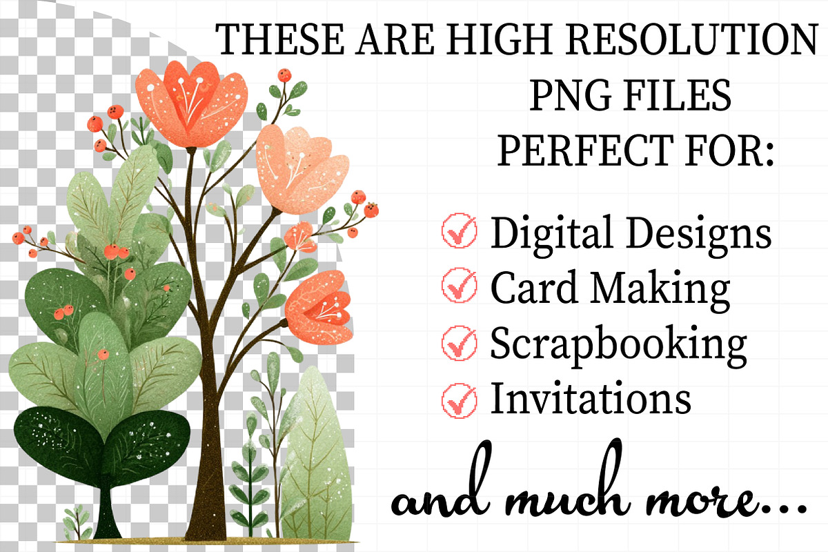 Christmas Flowers Sublimation, an Illustration by Daily.Designs (Photo 2 of 5)