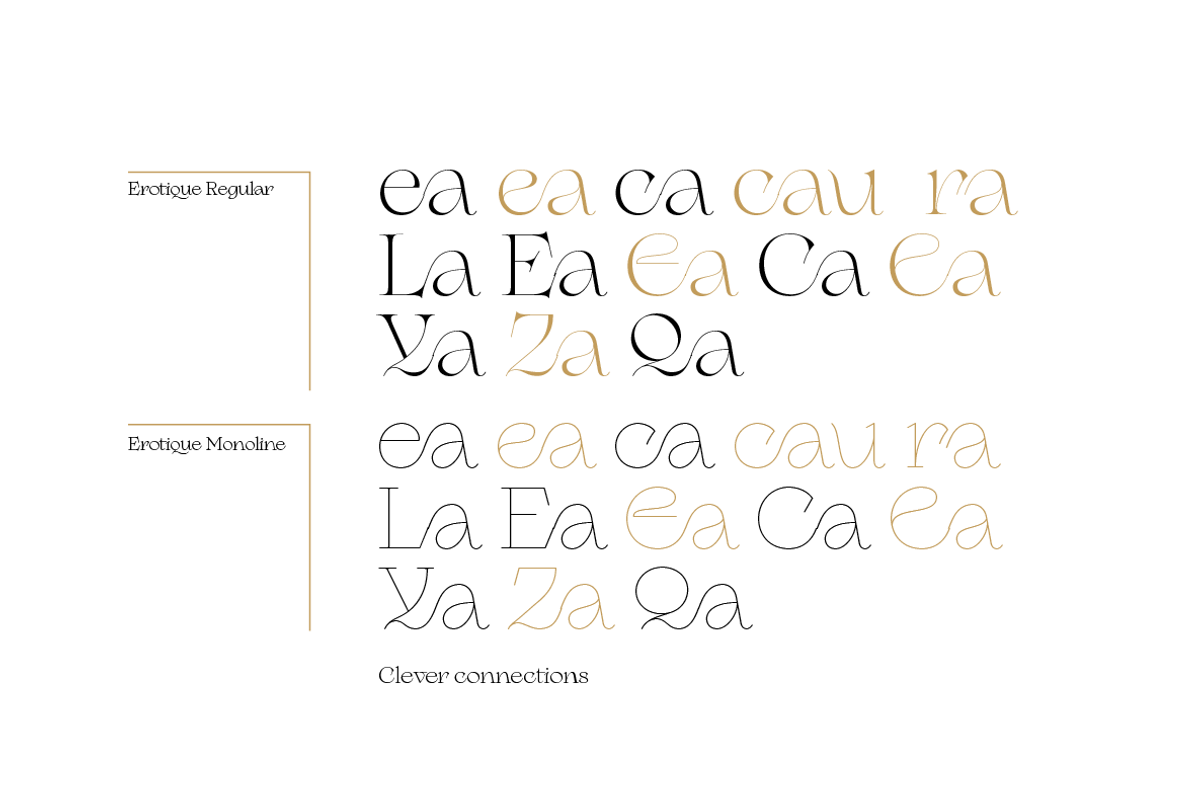 Erotique - 10 fonts, a Serif Font by Zetafonts (Photo 10 of 14)