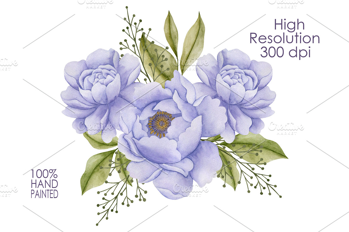 Watercolor Flowers & Cats collection, an Animal Illustration by Kira Konoshenko (Photo 8 of 20)