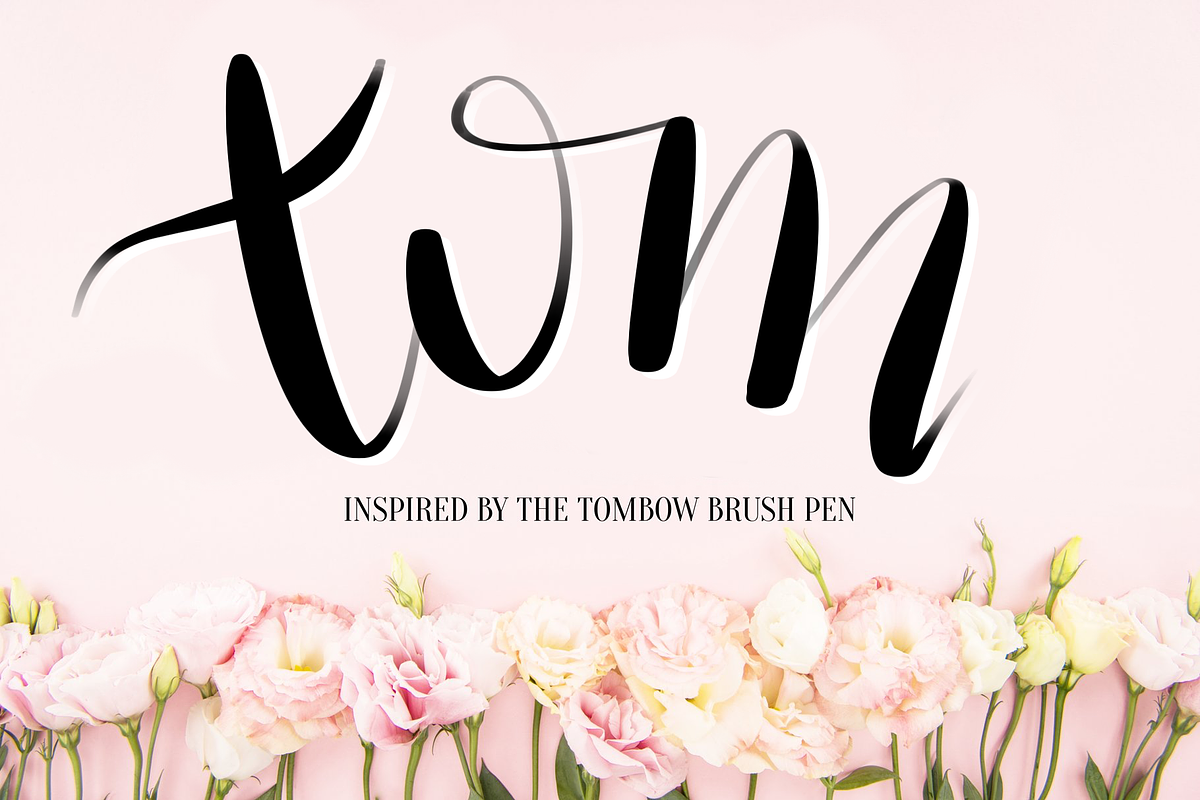 Procreate Lettering Brushes Bundle, a Brush Add-On by Nap Time Design Co. (Photo 9 of 11)