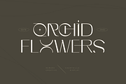 Counthills Contemporary Display Font, a Font by Namara Creative Studio (Thumbnail 10 of 11)
