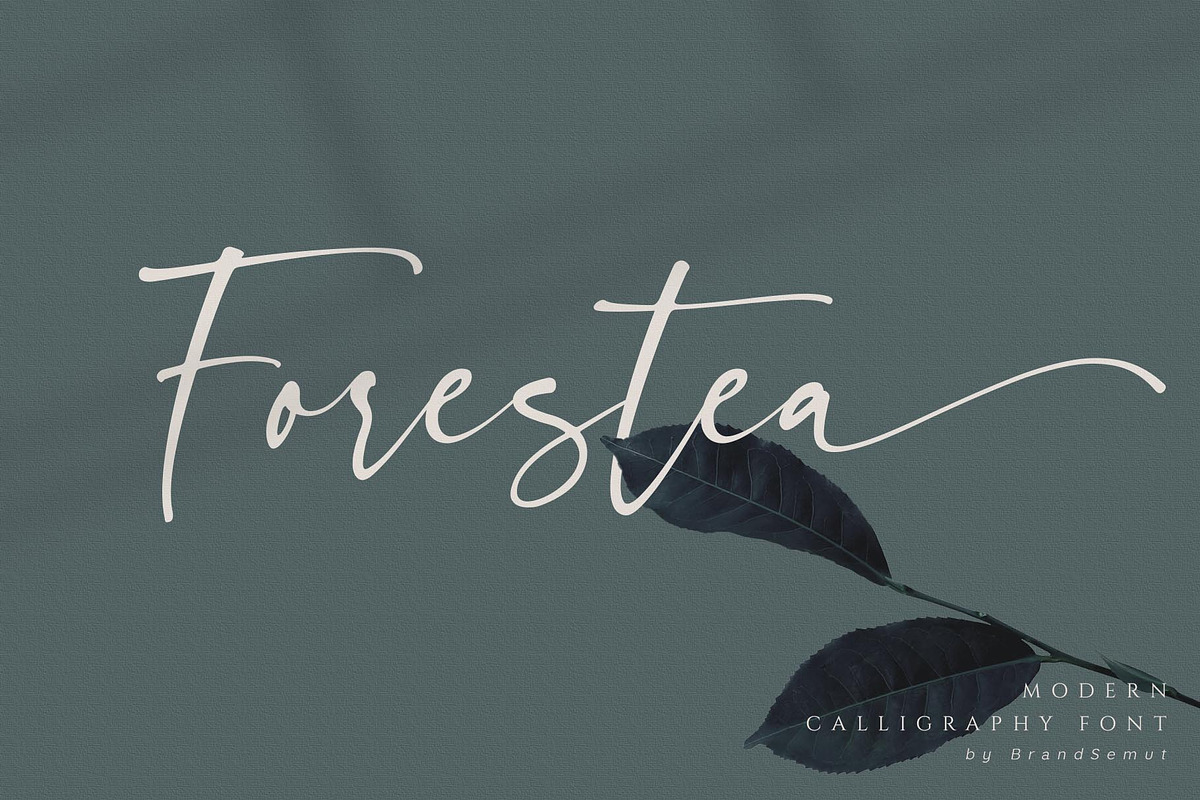 Forestea - Classy Script, a Script Font by BrandSemut (Photo 1 of 14)