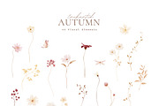 Autumn Watercolor Wildflowers, a Decorative Illustration by Altea Design Studio (Thumbnail 2 of 11)