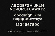Fort Columbia, a Sans Serif Font by Chad Palmer Designs (Thumbnail 3 of 7)