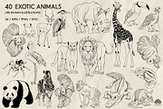Exotic Animals Line Art + Procreate, an Illustration by Skliarova (Thumbnail 2 of 3)