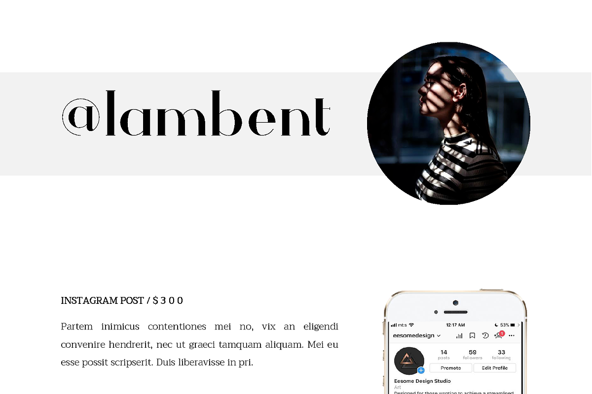 5 Page Media Kit Template, a Stationery Template by Eesome Design Studio (Photo 6 of 8)