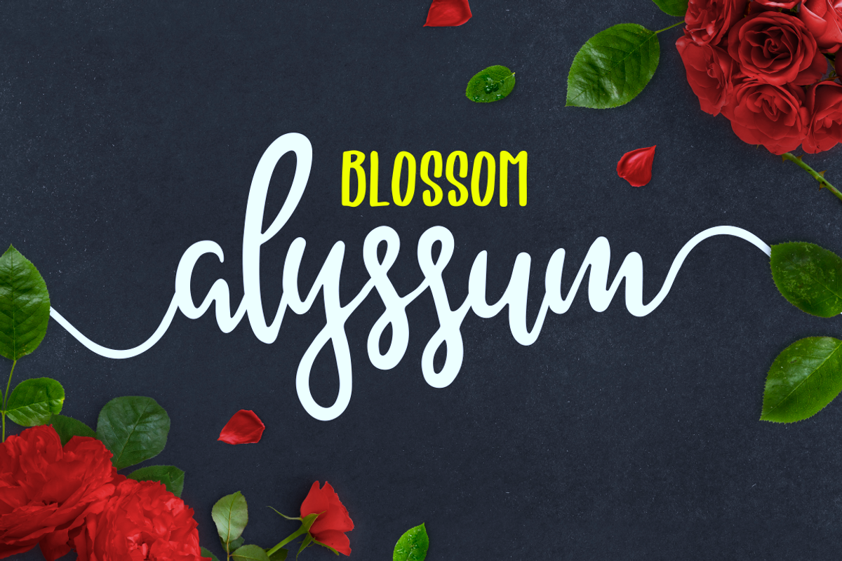 Alyssum Blossom
