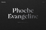 Rainesta Font, a Serif Font by Digitype Studio (Thumbnail 4 of 10)