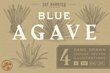 Agave hand drawn vector illustration