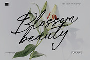 Whispered Trails – Signature Font, a Script Font by Salamahtype (Thumbnail 5 of 8)