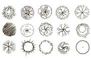 Set of graphic trees, top view, an Illustration by Lina_Lisichka (Thumbnail 2 of 5)