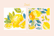 Collage Lemons, a Decorative Illustration by Ekaterina Mikheeva (Thumbnail 4 of 5)