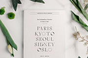 MOON CROWD - Elegant & Stylish Serif, a Serif Font by SilverStag Type Foundry (Thumbnail 16 of 26)
