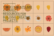 PRESSED BOTANY Floral & Fruit Cutout, an Object Graphic by Desert Poetic (Thumbnail 4 of 10)