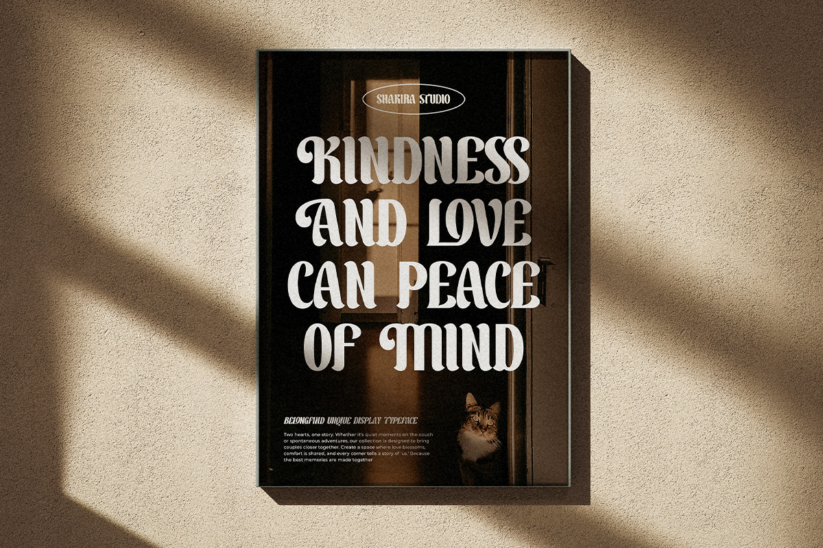 BelongFind - Display Serif, a Serif Font by Shakira Studio (Photo 7 of 10)