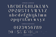 Nevollen - Modern Serif Font, a Serif Font by Flawless And Co (Thumbnail 10 of 10)