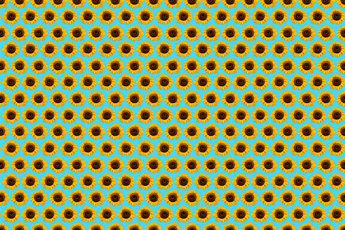 Sunflowers, a Pattern Graphic by Teuni's Dreams of Reality (Photo 1 of 3)