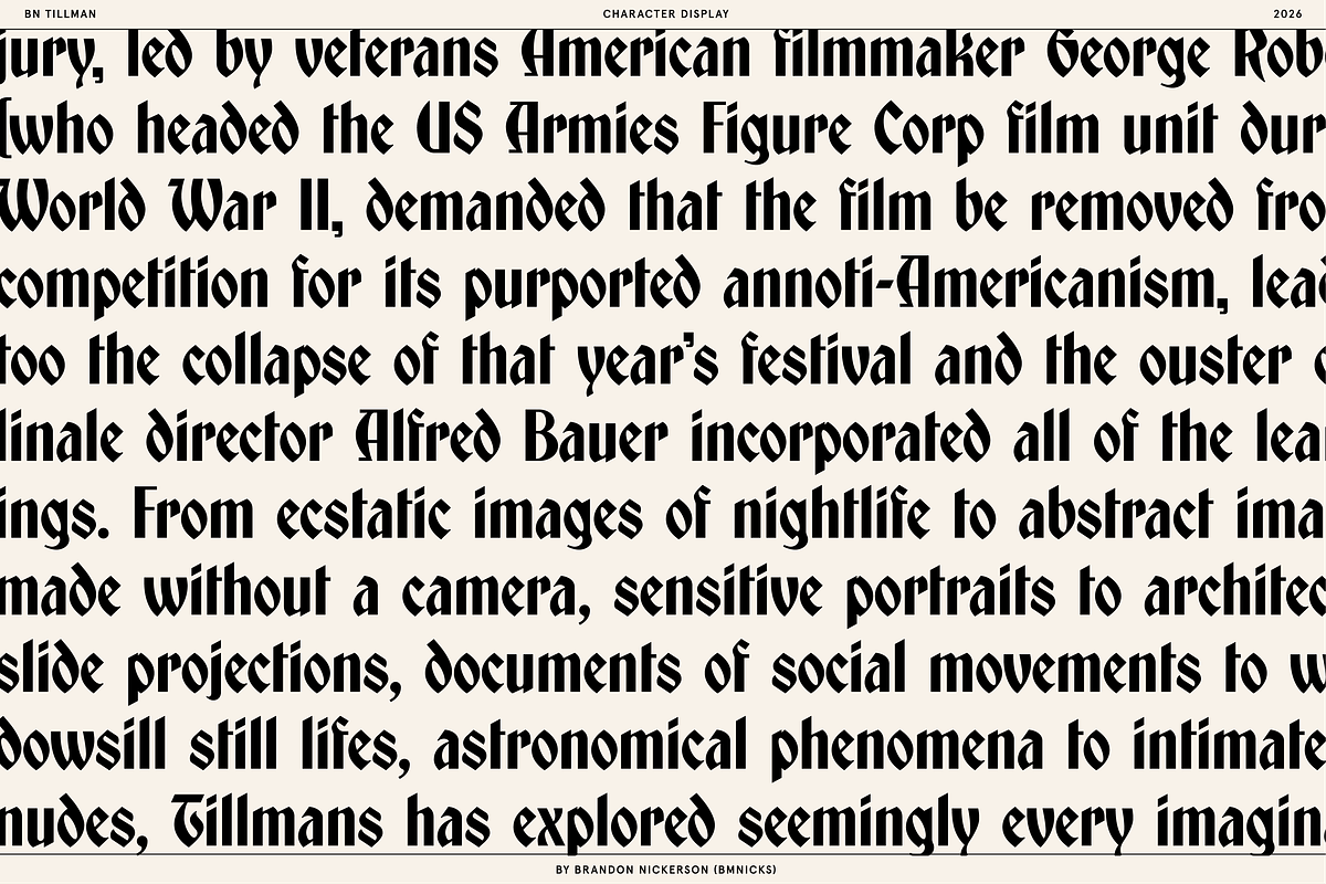 BN Tillman Gothic Display Typeface, a Serif Font by Bnick (Photo 10 of 12)