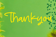 Joybright, a Script Font by operatype.co (Thumbnail 14 of 14)