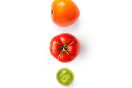 Tomatoes