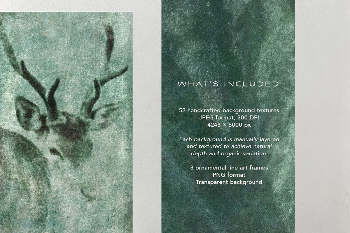 Understory Organic Backgrounds, a Background Graphic by alonahaidash (Photo 3 of 15)