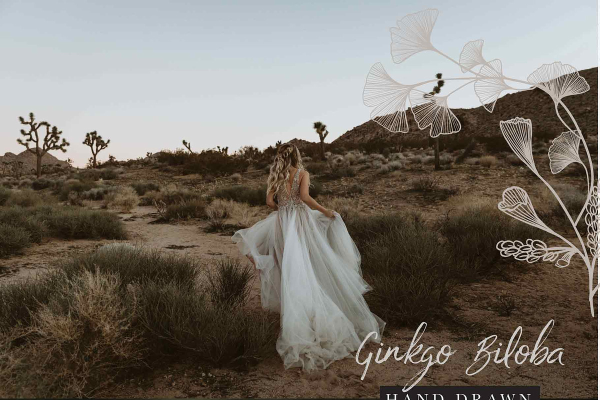Ginkgo Botanicals - Florals & Leaves, an Illustration by Momo Studio (Photo 4 of 13)