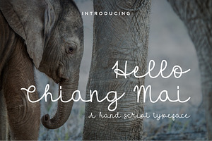 Hello Chiang Mai Script