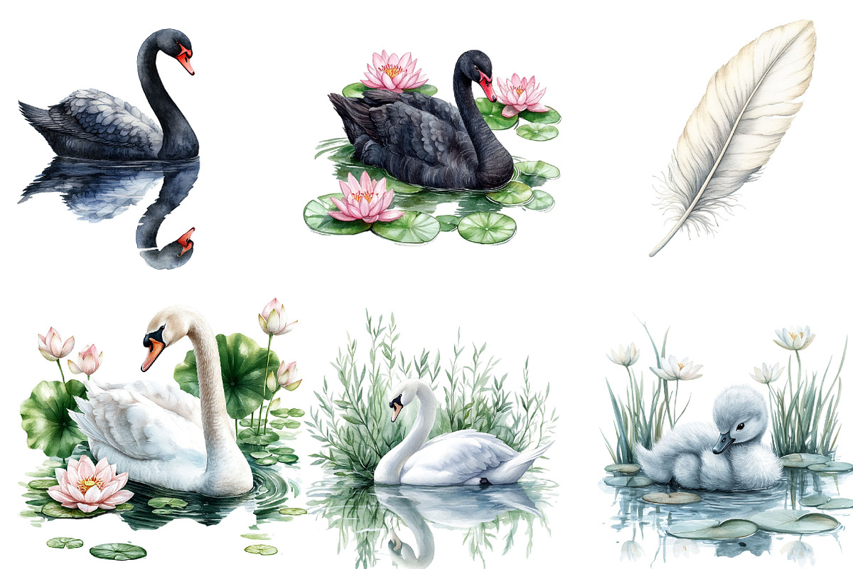 Watercolor Cute swan clipart, a Seasonal Illustration by Designking (Photo 4 of 4)
