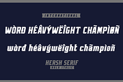 HERSH SERIF FONT FAMILY, a Serif Font by Alphabet Agency (Thumbnail 11 of 14)