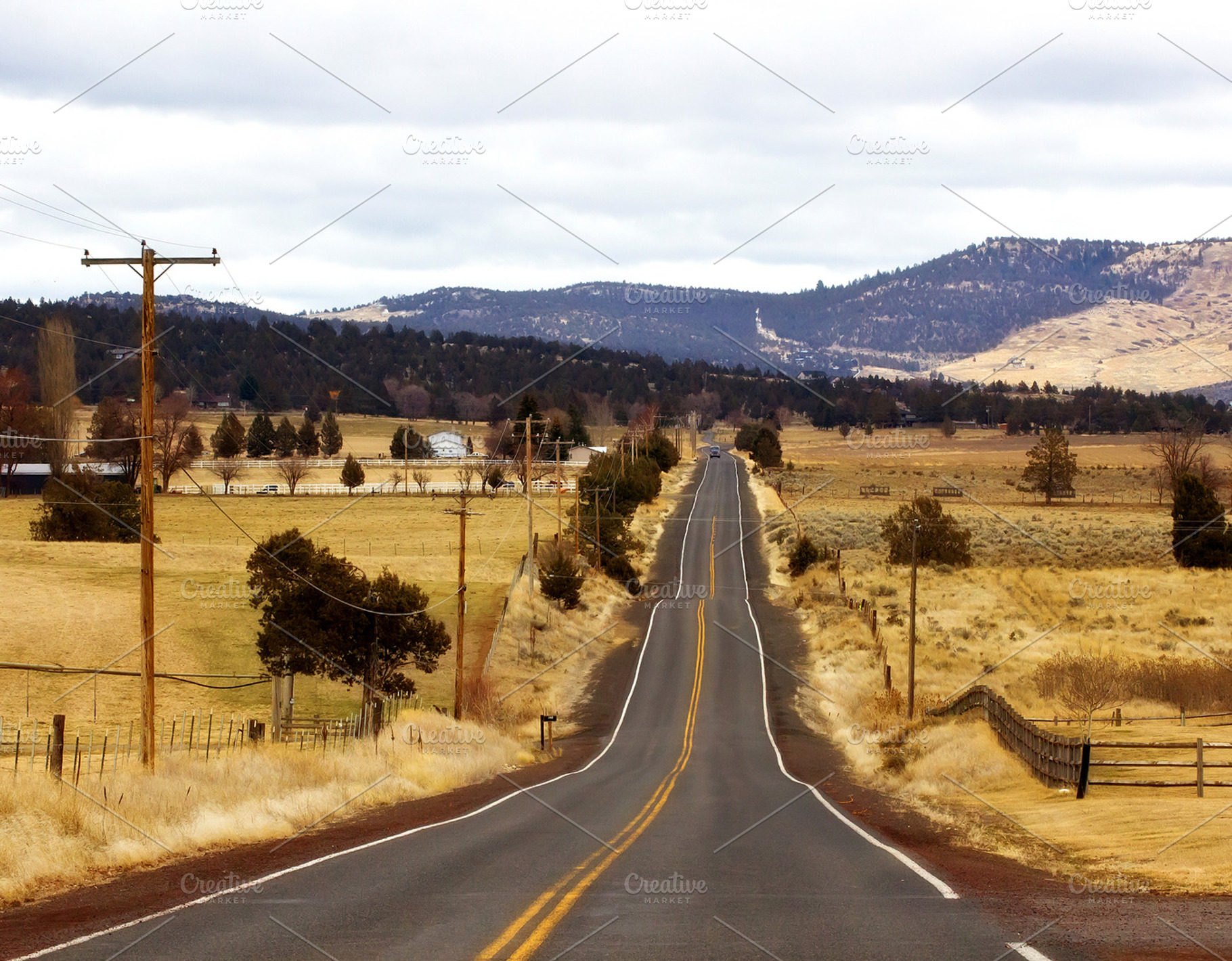 Abandoned Road Background