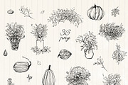 Autumn floral illustrations, a Decorative Illustration by Vero Arts (Thumbnail 3 of 9)