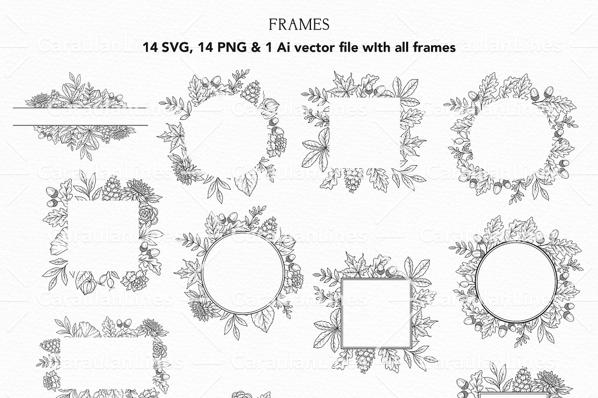 Fall Foliage Line Art, an Object Graphic by CaraulanStore (Photo 4 of 8)