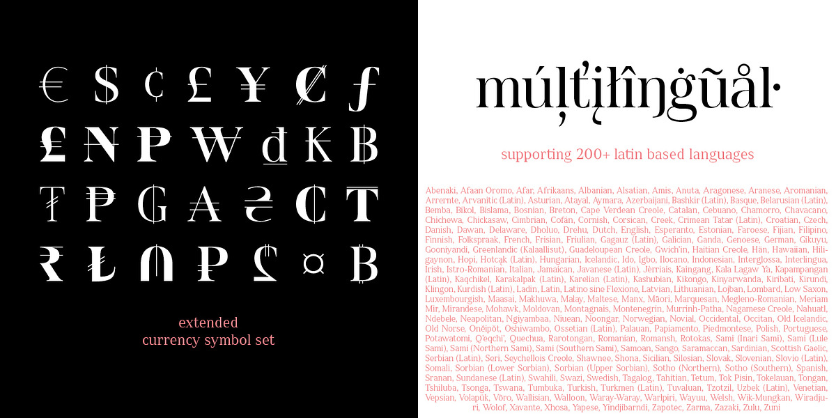 Spitzkant, a Serif Font by Julien Fincker (Photo 8 of 10)