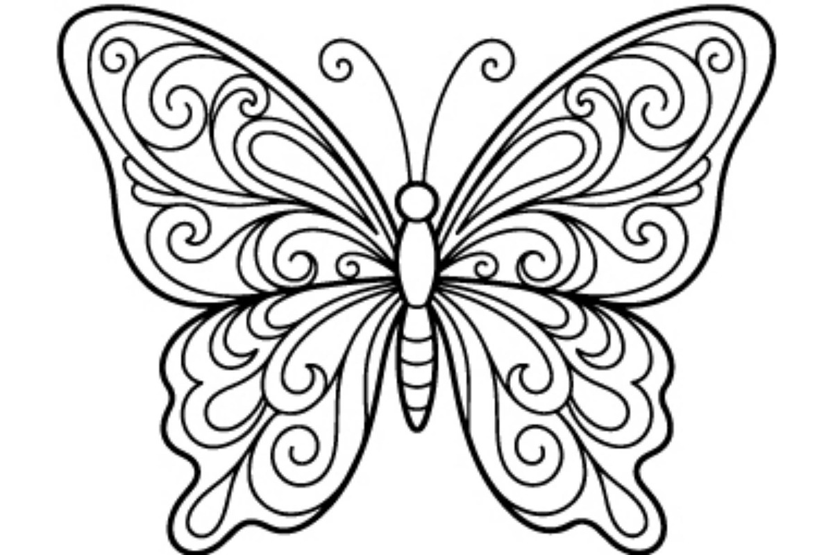 Ornamental Butterfly SVG Bundle, an Object Graphic by Gfx_Store (Photo 12 of 16)
