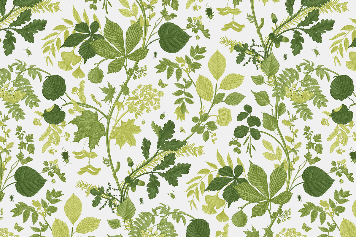 Leafy, a Decorative Illustration by olga.korneeva (Photo 7 of 16)