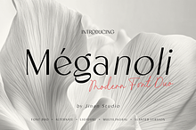 Meganoli - A Modern Font Duo