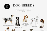 Dog breed clipart illustration set, an Animal Illustration by Diana Askarova Art (Thumbnail 3 of 8)