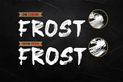Frost SVG Font + Brushes, a Symbol Font by Graphicfresh (Thumbnail 9 of 11)